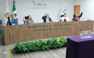 Eliminar organismos autónomos ataca los derechos humanos: Infoem