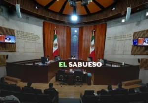 ¿Cuál es la diferencia entre justicia local y federal y qué asuntos le corresponden a cada una?-Luz Rangel